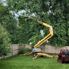 Best Tree Cabling and Bracing  in Cudahy, WI