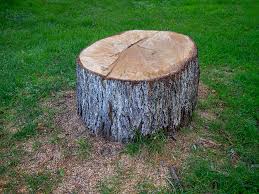 Best Firewood Processing and Delivery  in Cudahy, WI