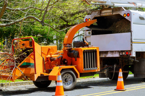  Cudahy, WI Tree Services Pros
