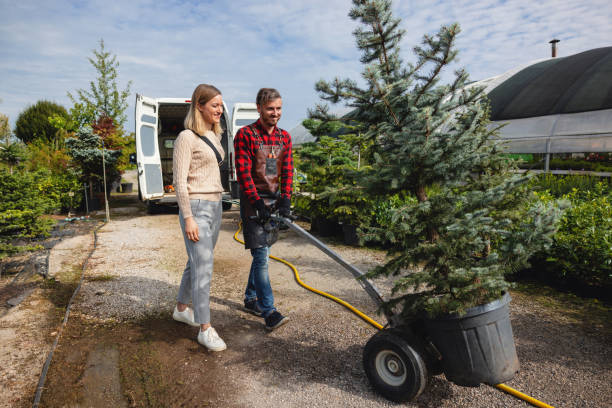 Best Utility Line Clearance  in Cudahy, WI